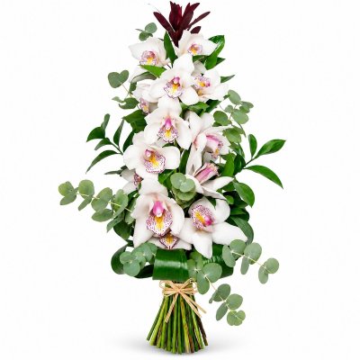 Królowa Orchidea